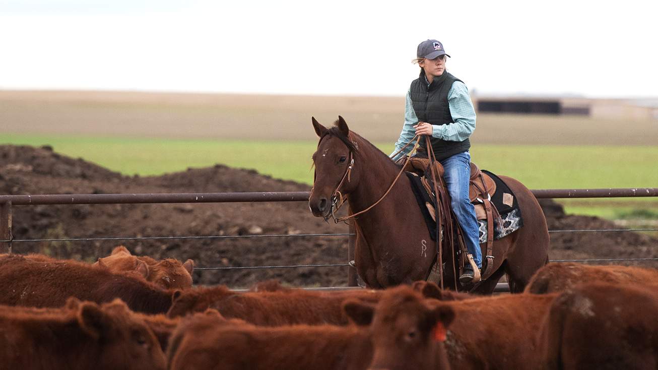 Agriculture Farm Loans for Women | AgAmerica