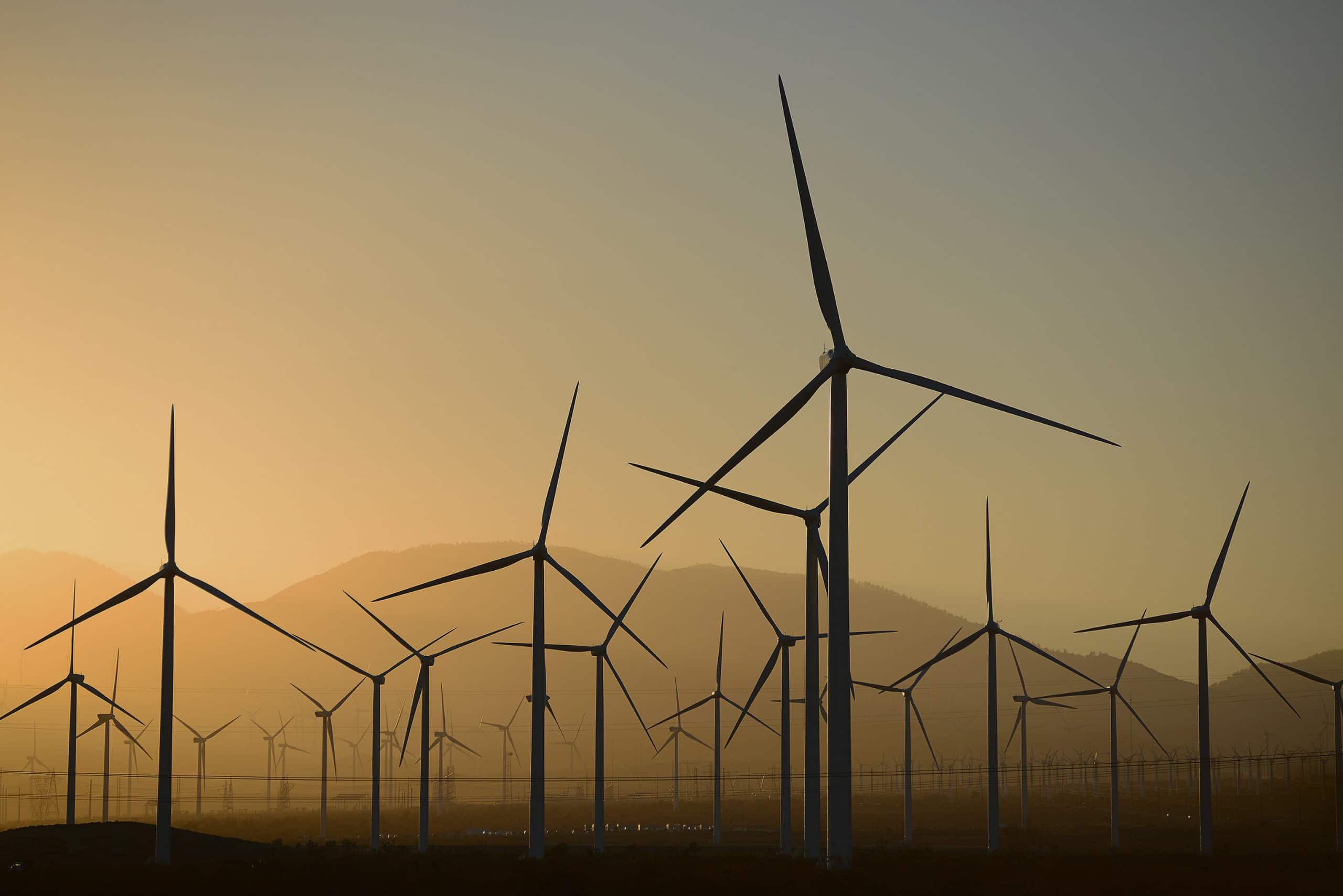 A group of wind turbines in a field at sunset.