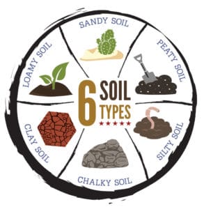 6-soil-types-image