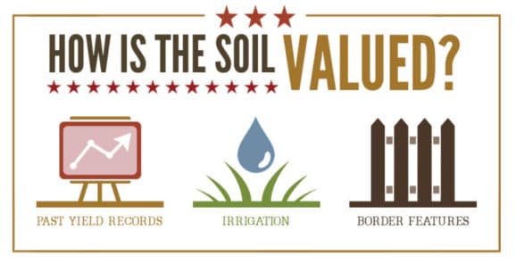 soil-value-image