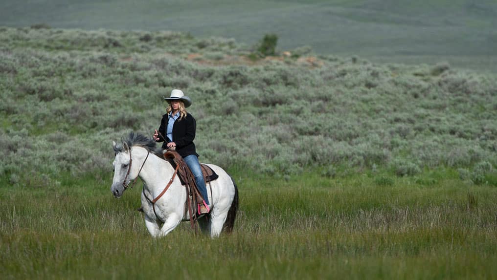 FFA member rides a horse through a field