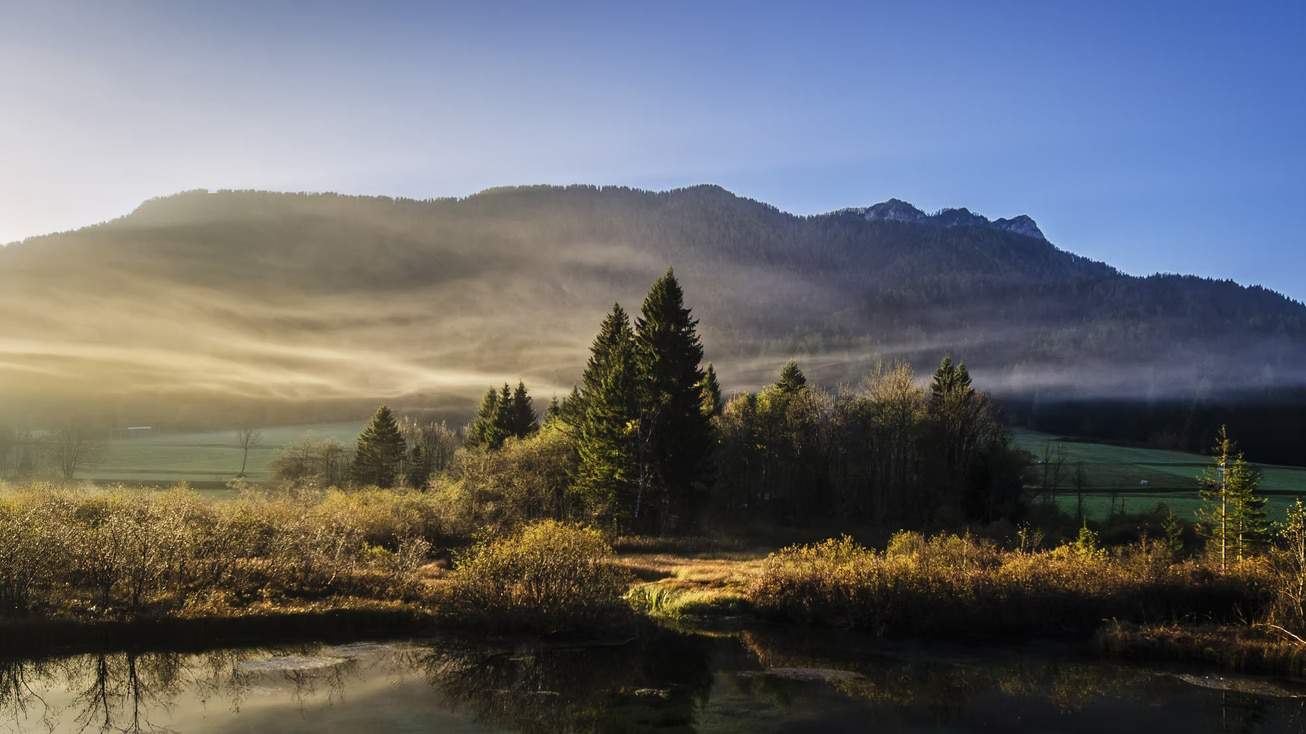 Leveraging Recreational Land Loans for Hunting Use AgAmerica