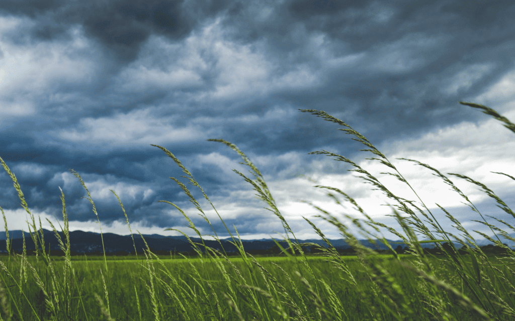 Agricultural Field with Stormy Sky