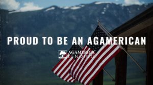 Double American flags with AgAmerica logo