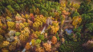 Sugar Maple Farm