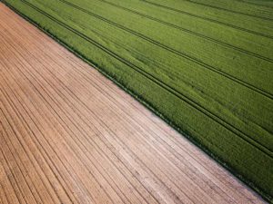 Midwest row crop