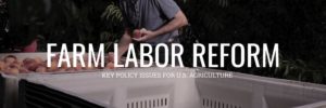 US election-farm labor reform