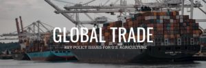 US election-global trade