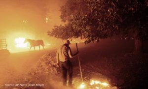 Western wildfires ravaging farmland