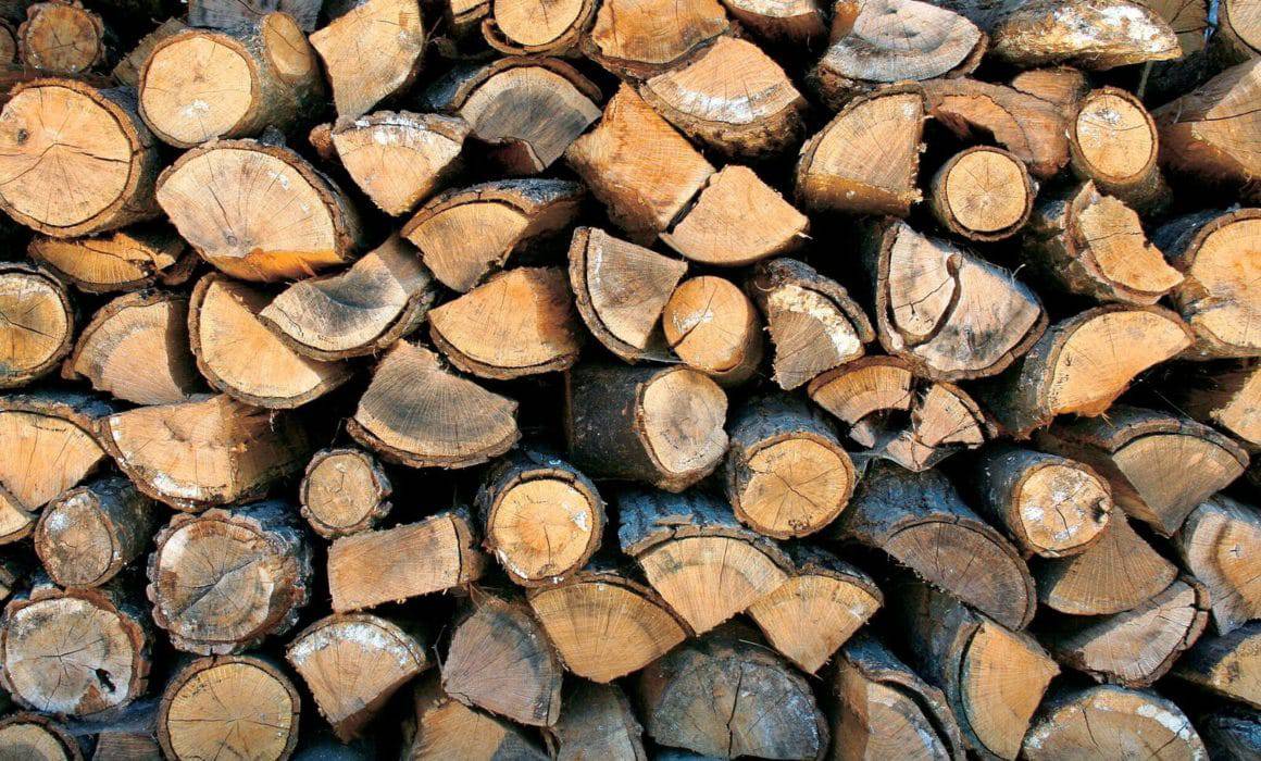 Timber Industry Facts and Its Agricultural Benefits | AgAmerica