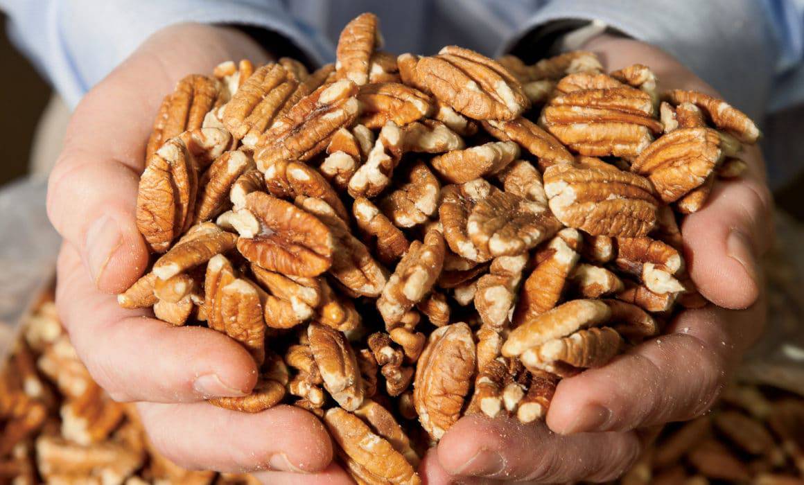 A man holding a bunch of pecans in his hands, showcasing the significant contributions of non-traditional ag states to the U.S. ag industry.