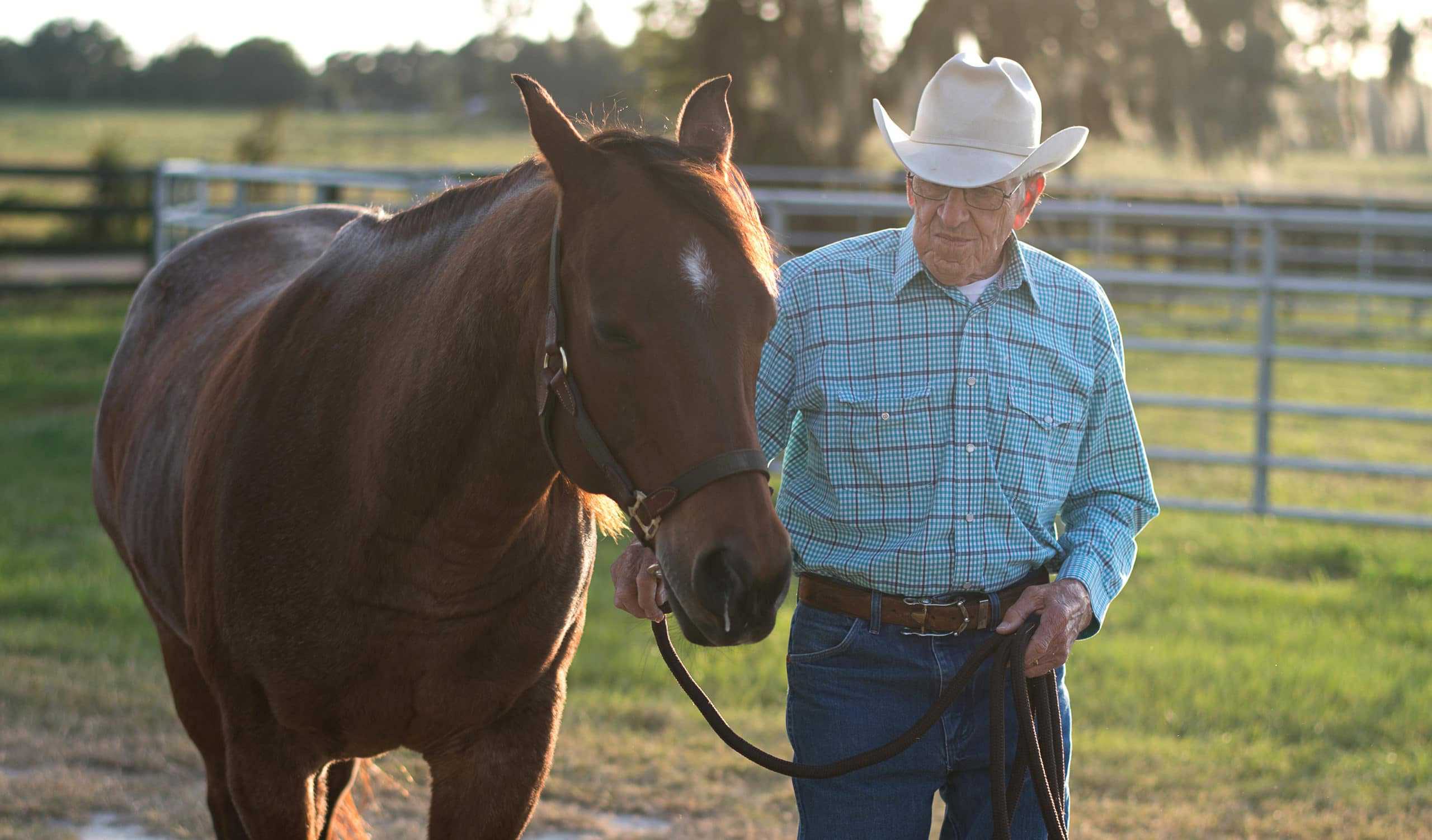 A man in a cowboy hat standing next to a brown horse in the ag land values region.