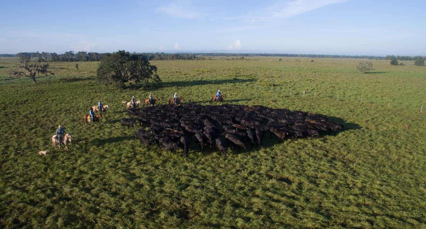 A group of people riding horses in a field, amidst the backdrop of vast farmland.