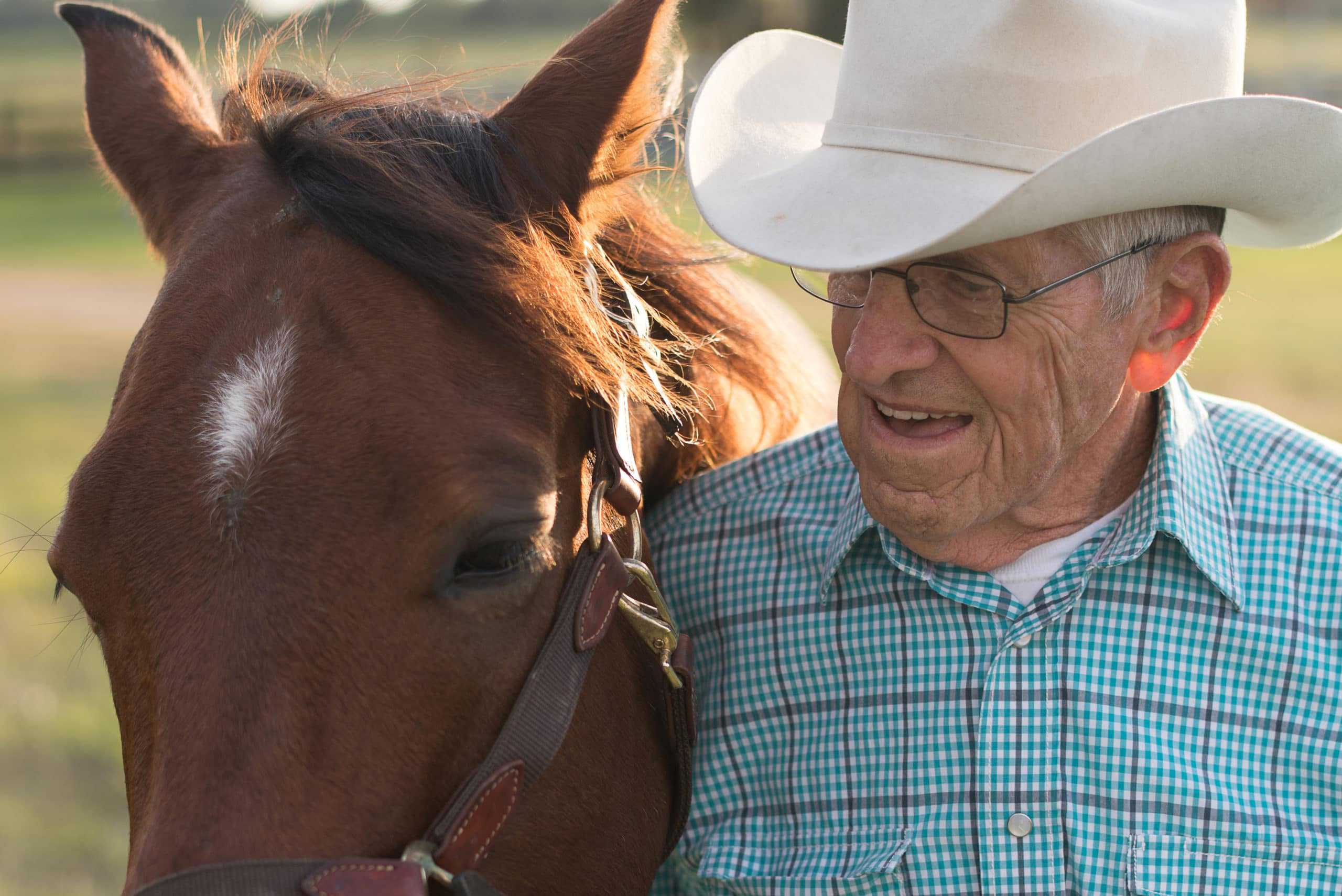 man in cowboy hat by a brown horse