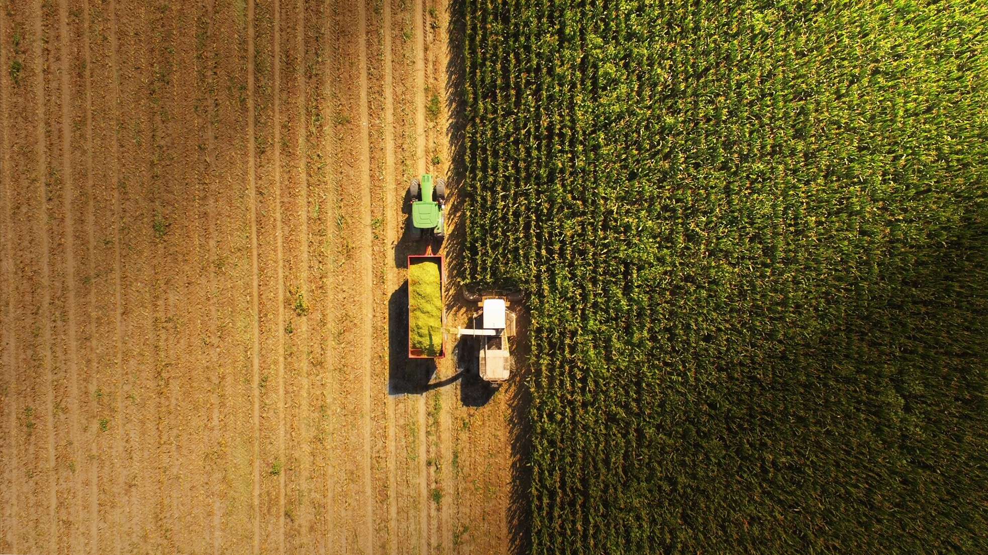 aerial view of green and brown farmland
