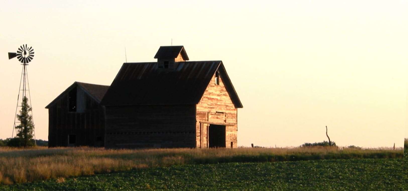 An old barn, a staple of family farms, sits in a field with a windmill.