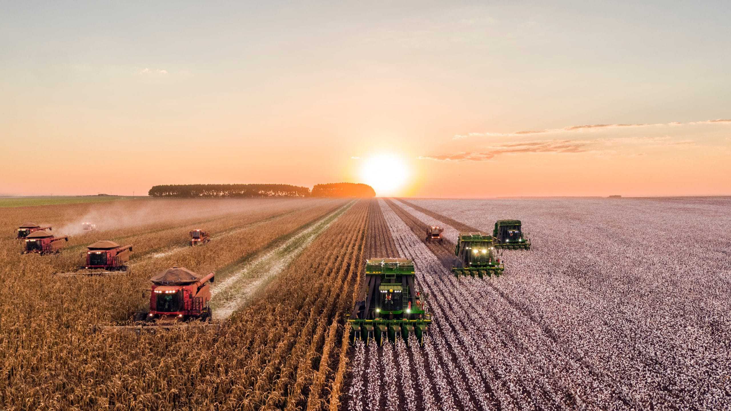 A fleet of combine harvesters efficiently operating in a field at sunset, contributing to the progress of the agriculture industry.