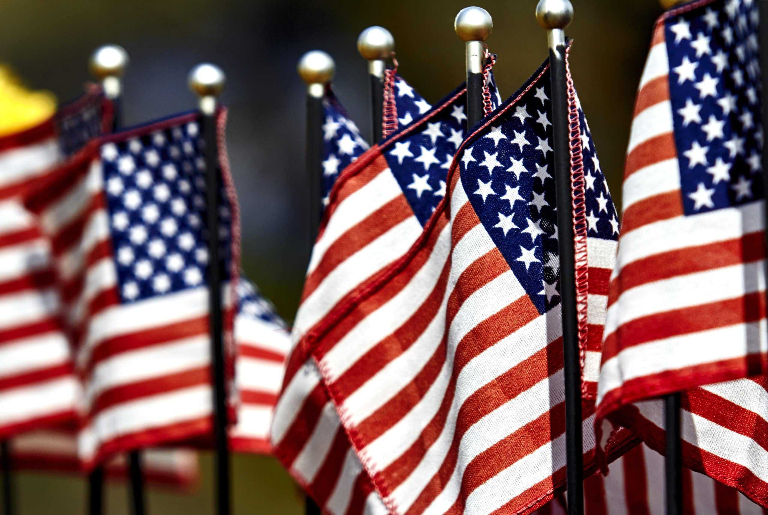 Grouping of small American flags blowing in the wind.