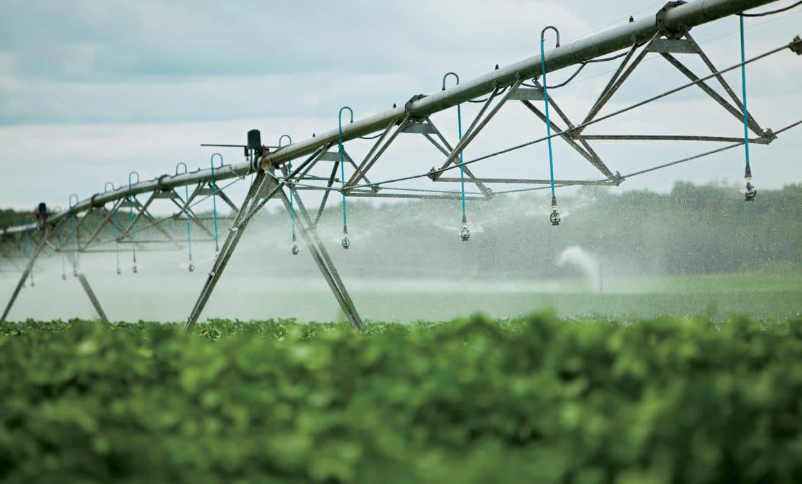 Choosing an Irrigation System