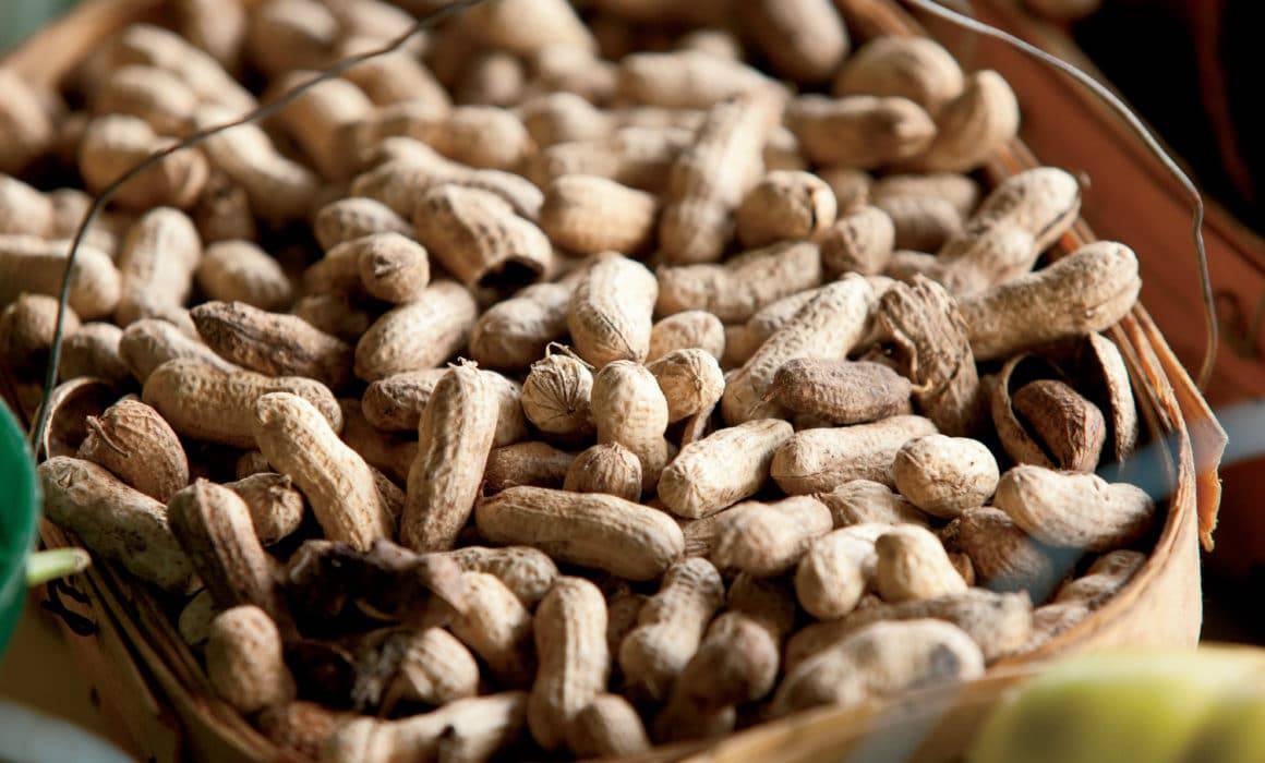 Peanuts on a table.