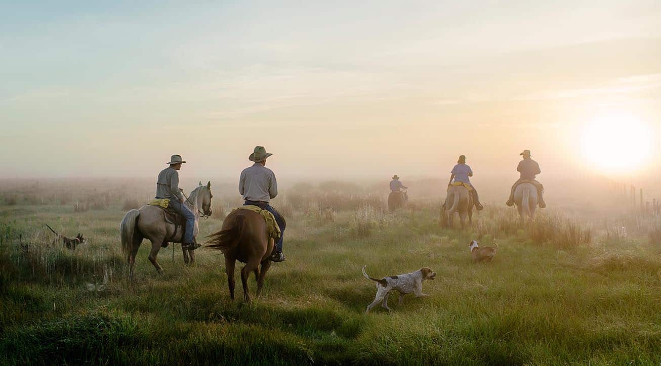 people riding horses on green farmland