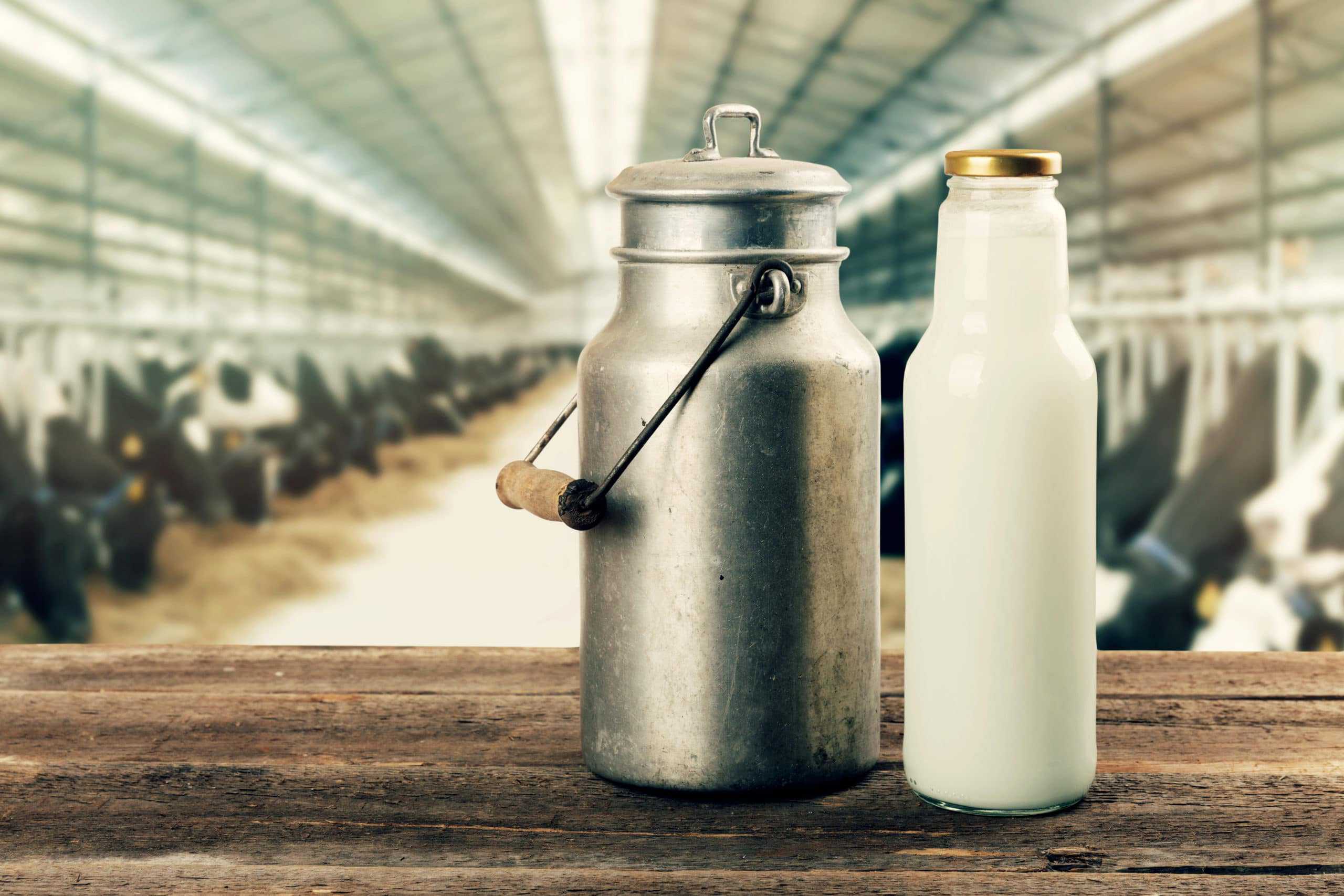 A dairy commodity - a bottle of milk, is placed next to a milk jug on a wooden table in the dairy industry.