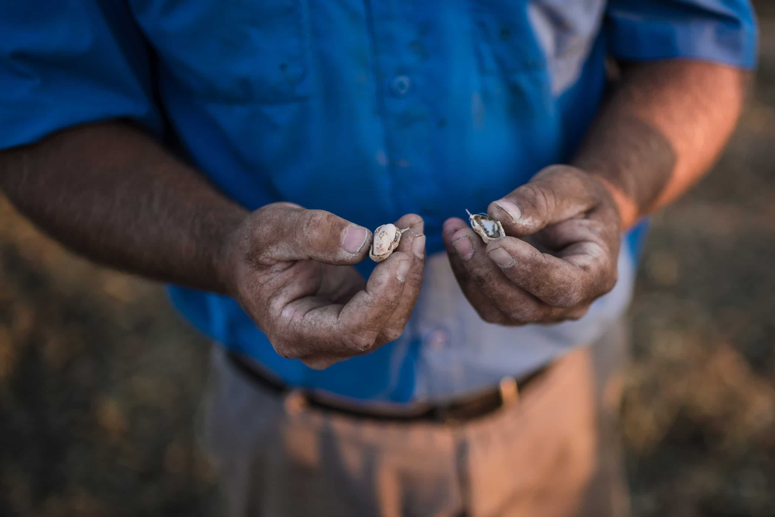 A man is holding two pieces of bread in his hands, highlighting the potential impact of the Peanut Genome Initiative on the long-term sustainability of the peanut industry.