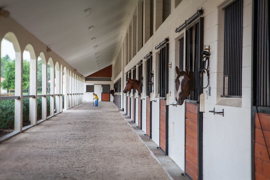 A row of horse stalls in a barn used for Florida horse farming.