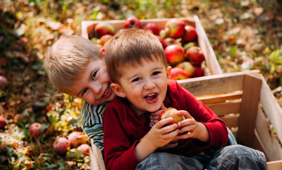 Two boys sitting in a crate filled with Southeast Crop Farming apples.
