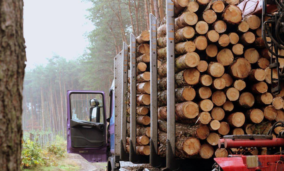 timber setting on the back of a large truck