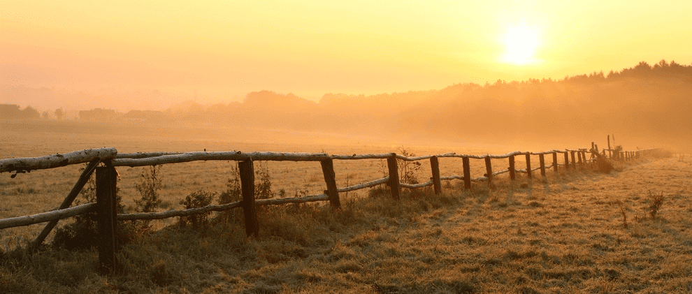 A Guide to Purchasing Rural Property | AgAmerica