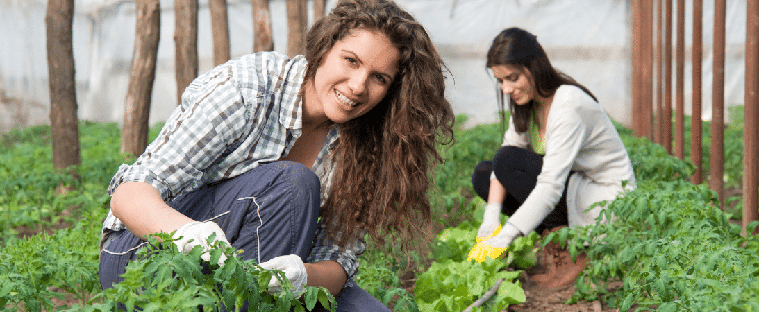 A female hobby farmer in her greenhouse.