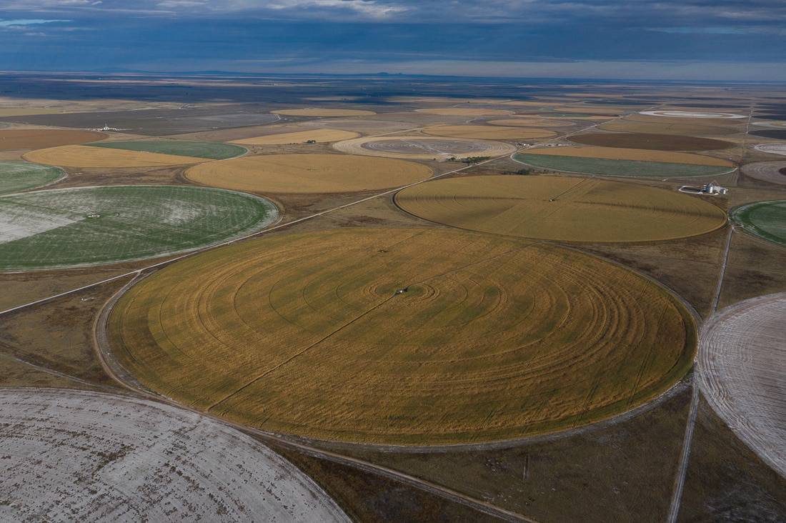 An aerial view of a field of wheat showcasing its inner crop circle.