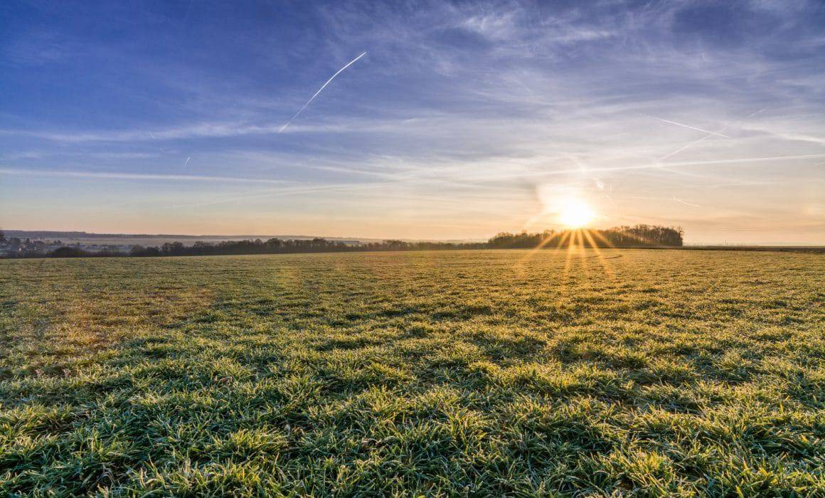 Agribusiness marvels at sunrise over a frosty field.