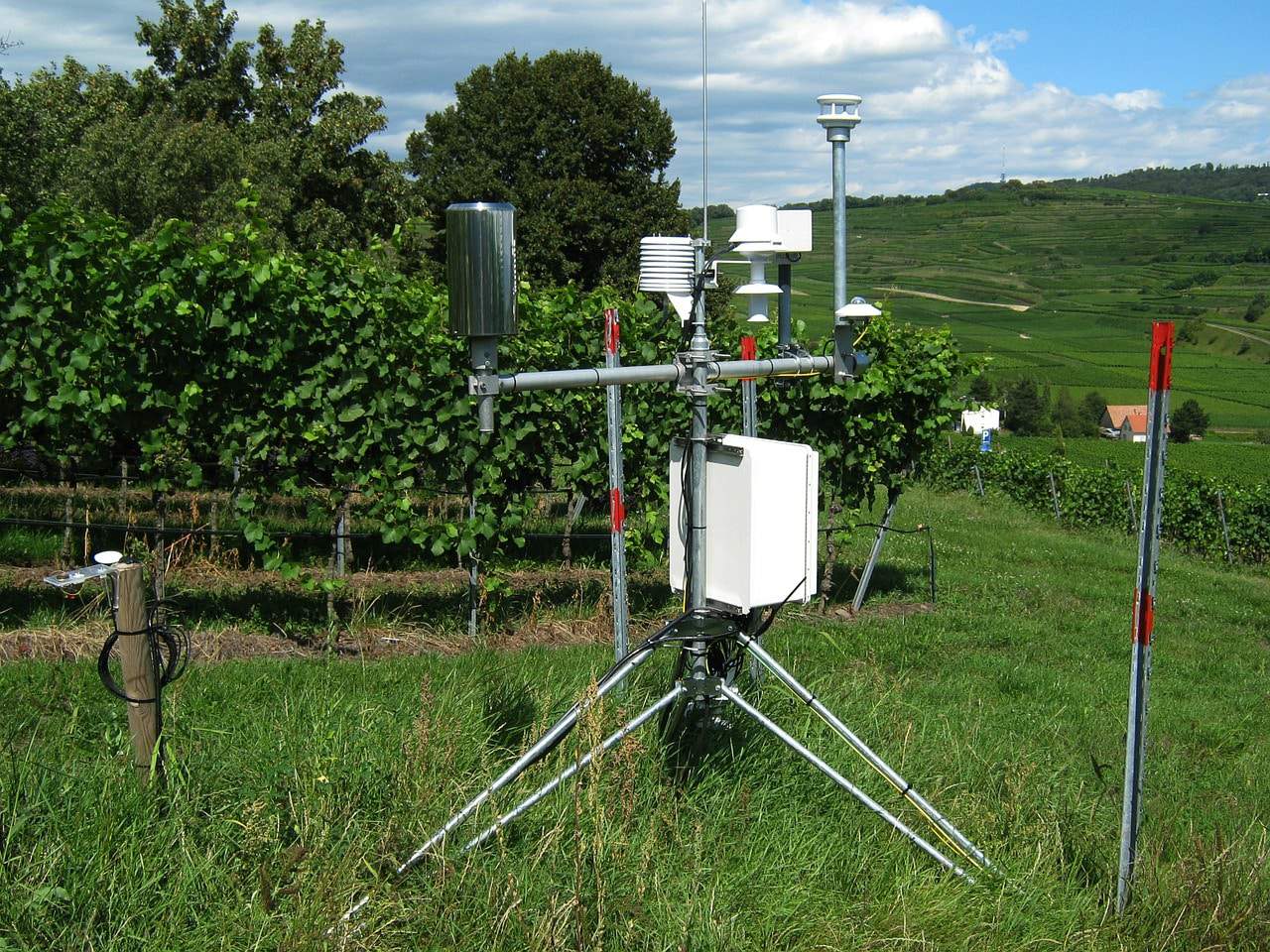 An agritech weather station on a pole in a field, providing valuable data for South Carolina farmers to conserve water.