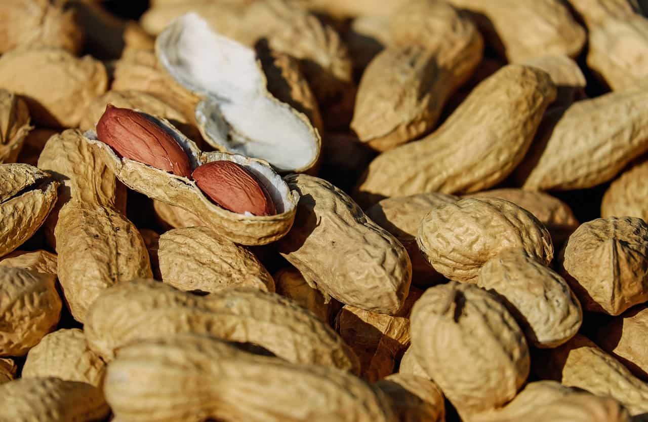 A commodity pile of peanuts from the Southeast United States with a hole in the middle.