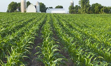 South Carolina Farmer Prepares for Growth and Saves $357K Annually ...