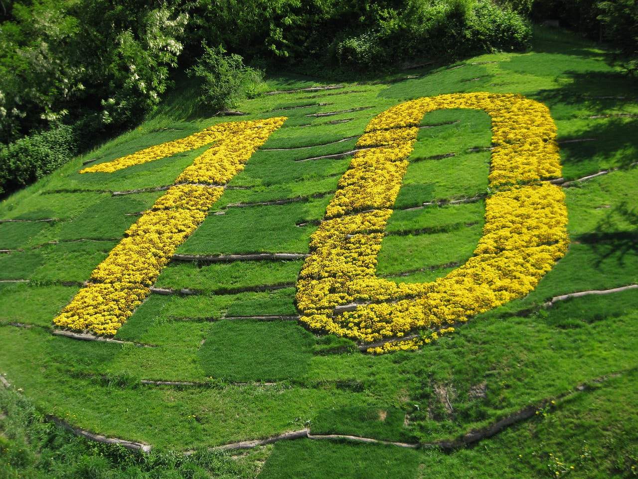 The number 10 is made of AgAmerica flowers on a grassy hill.