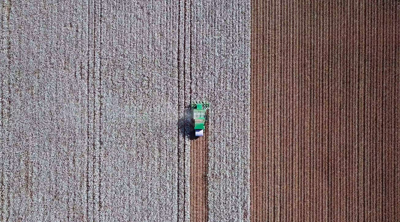 Row crop.