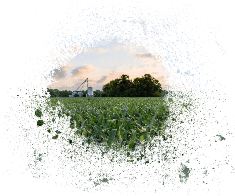 North Carolina Agricultural and Land Loans AgAmerica