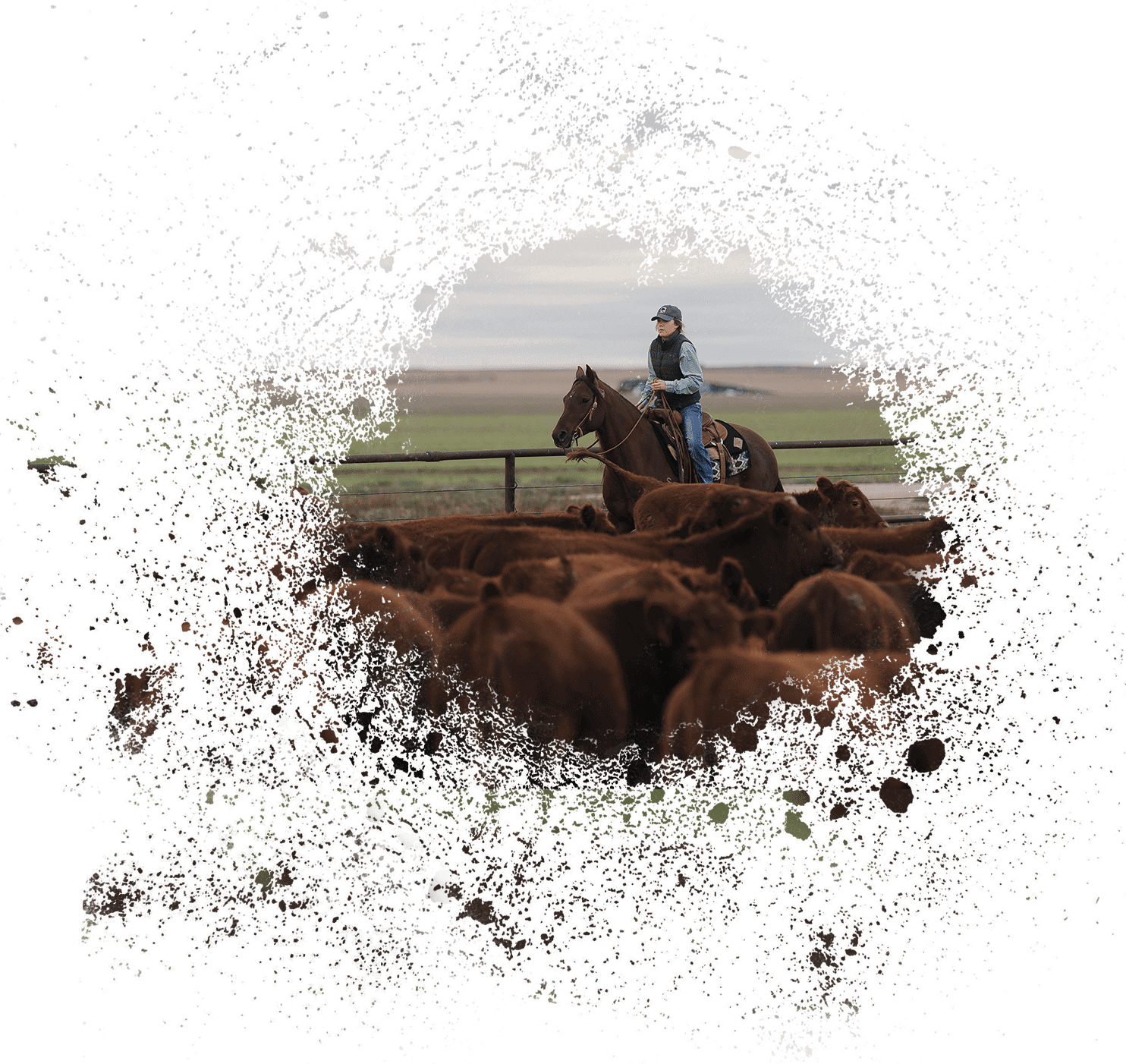 Land Loans Texas AgAmerica