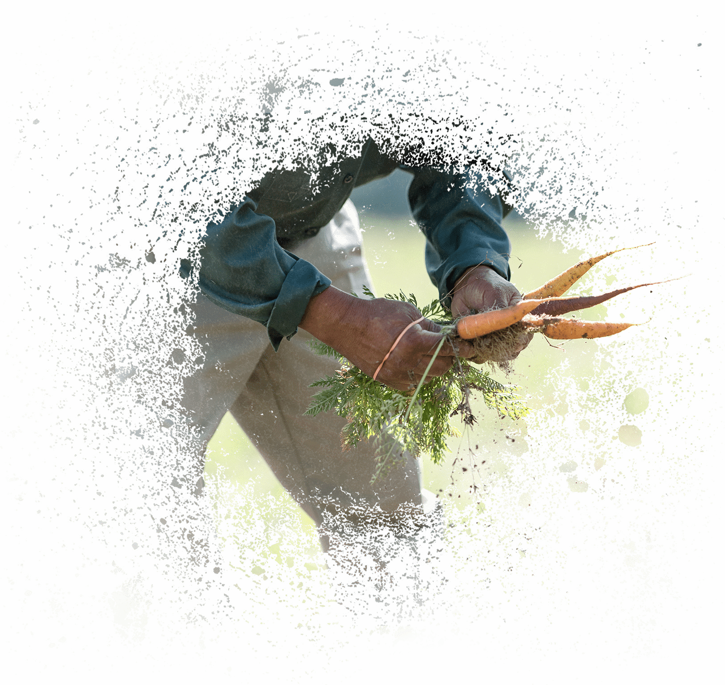 Farm Loans