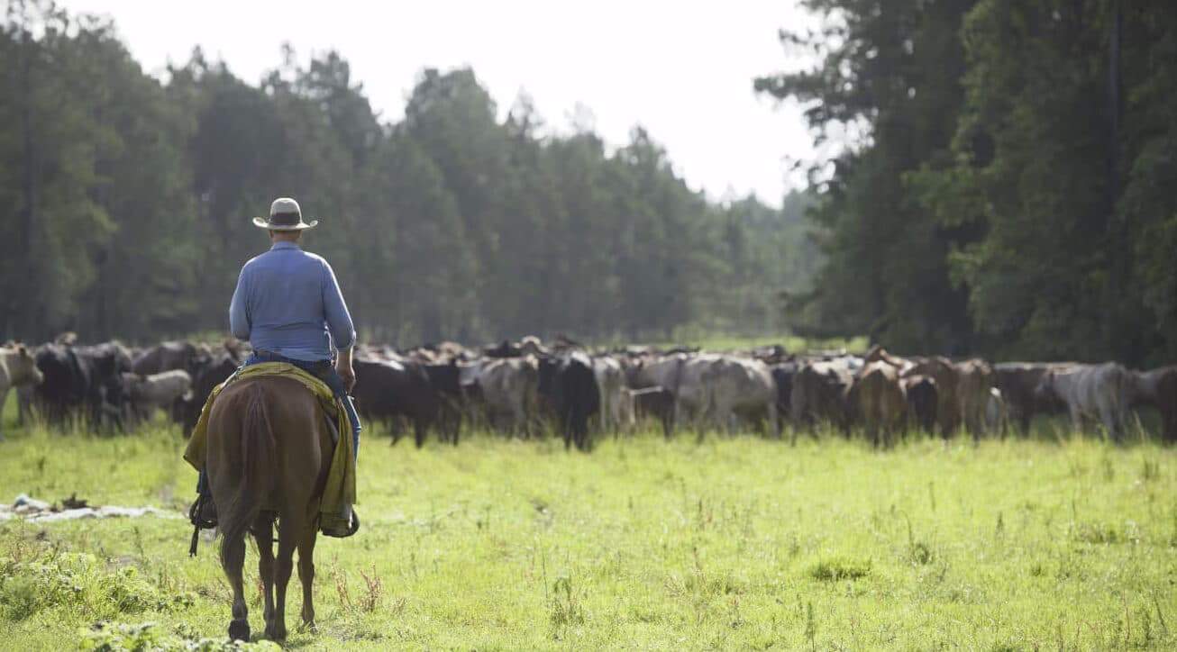 Farm Lending
