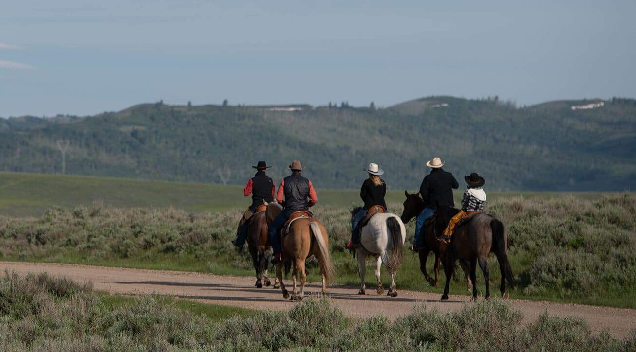 Cattle ranchers on horseback.