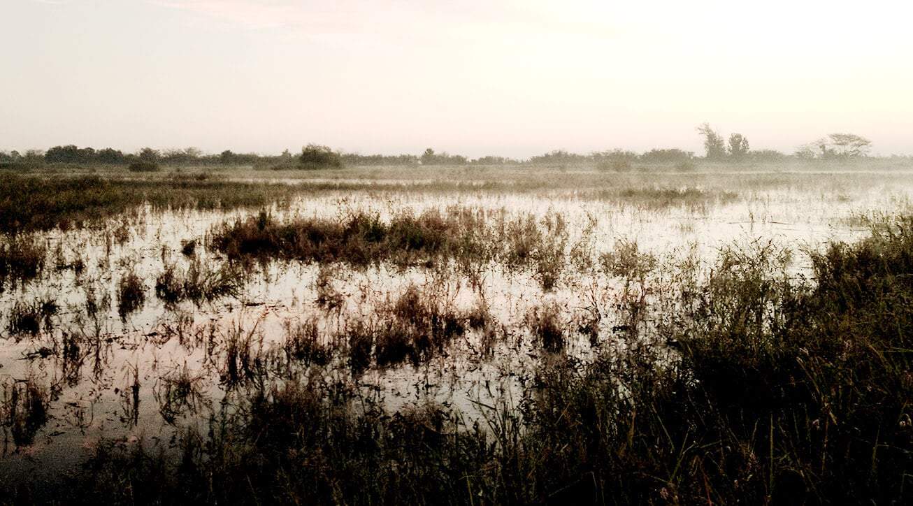 Easement land in the U.S.
