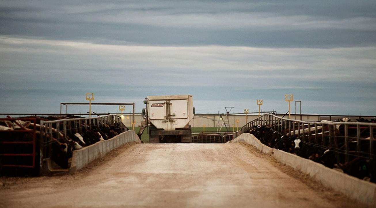 Farm Loans Economic Update