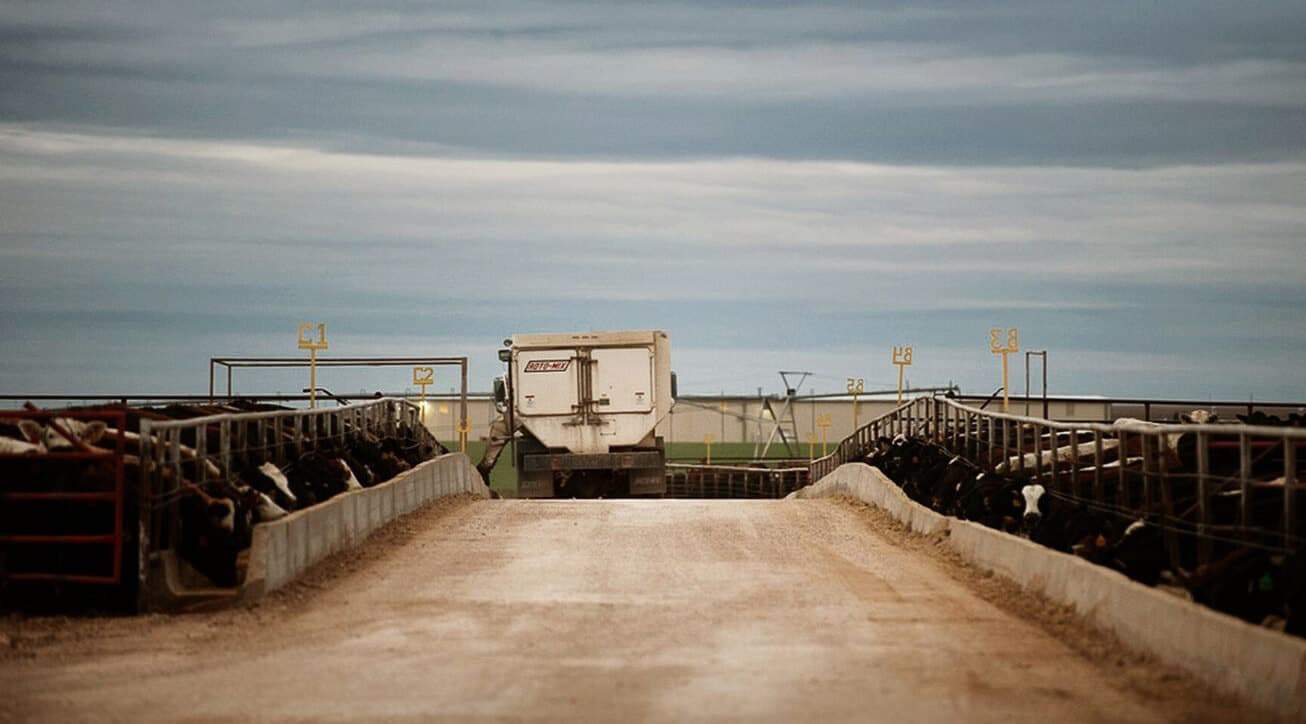 Farm Operating Loans