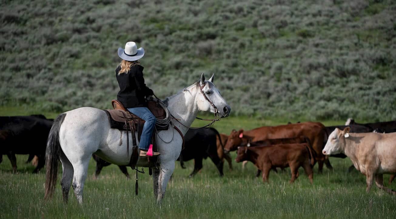 Hobby Farm Loans