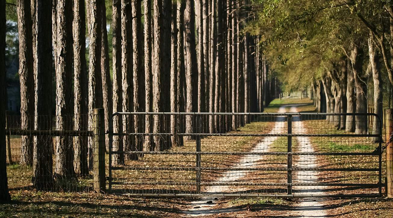 Timberland Loans Reasons to Invest in Timberland AgAmerica