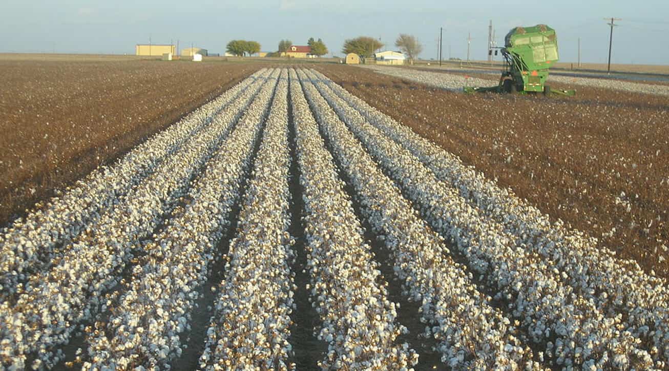 Ag Land Loan